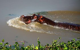 Montebelo Gorongosa Lodge Safari