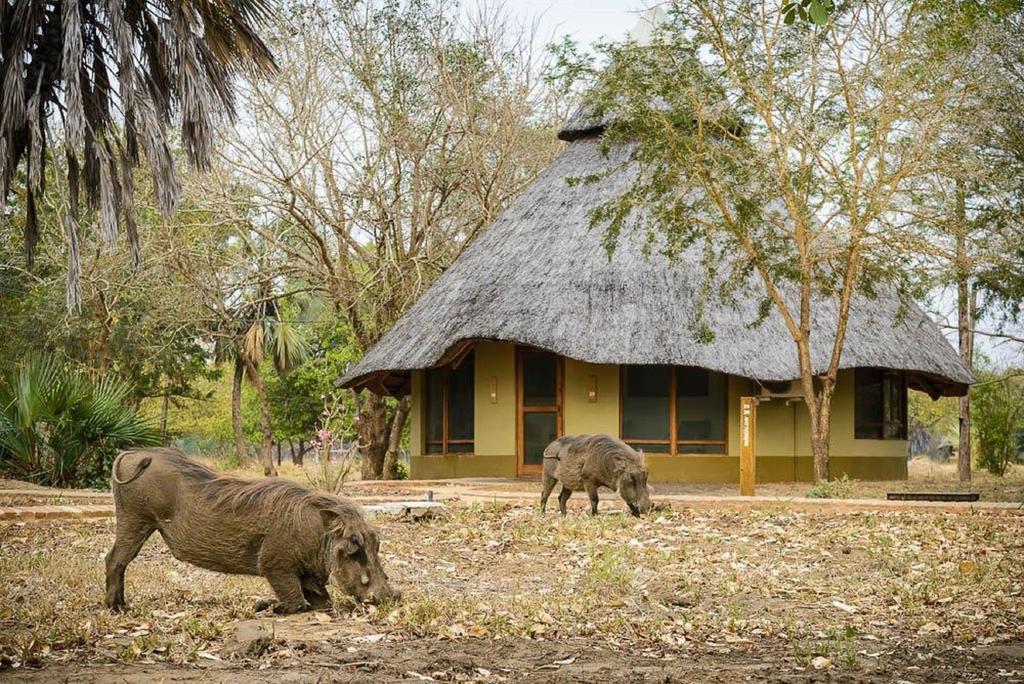 Montebelo Gorongosa Lodge & Safari Mtindiri Exterior photo