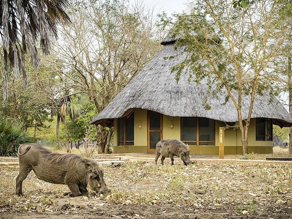 Montebelo Gorongosa Lodge & Safari Mtindiri Exterior photo